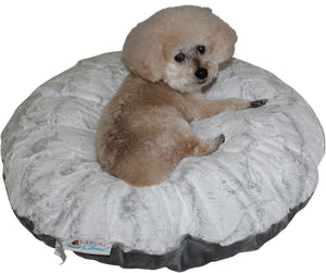 dog sitting on ultrasoft white canine cloud bed 