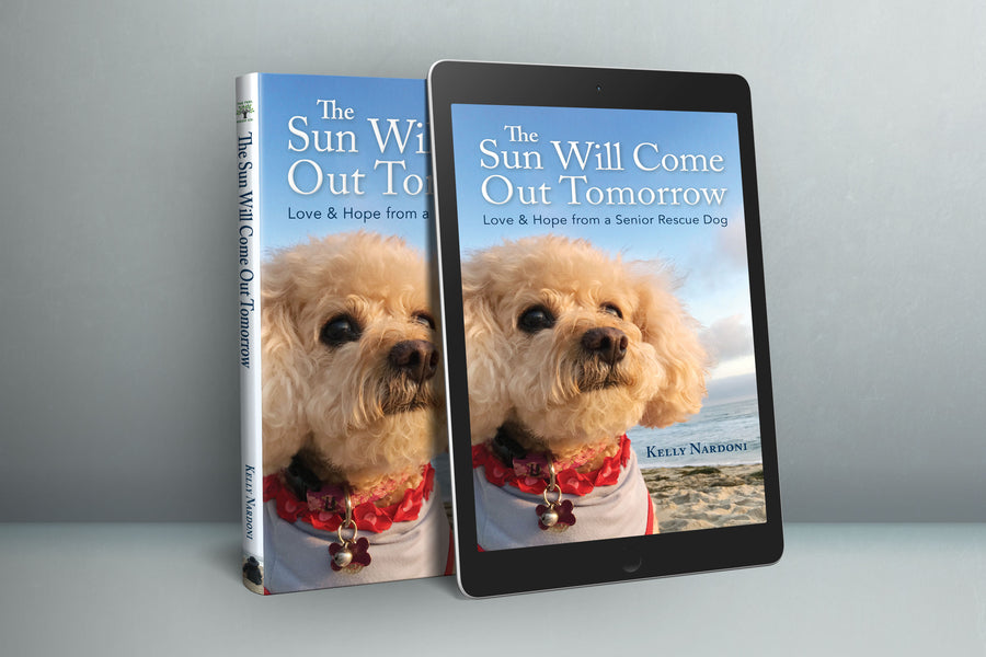 Now Available - The Sun Will Come Out Tomorrow: Love & Hope from a Senior Rescue Dog